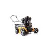 MOCNY AERATOR WERTYKULATOR SPALINOWY 4300W 10KM RIWALL Pielęgnacja trawnika
