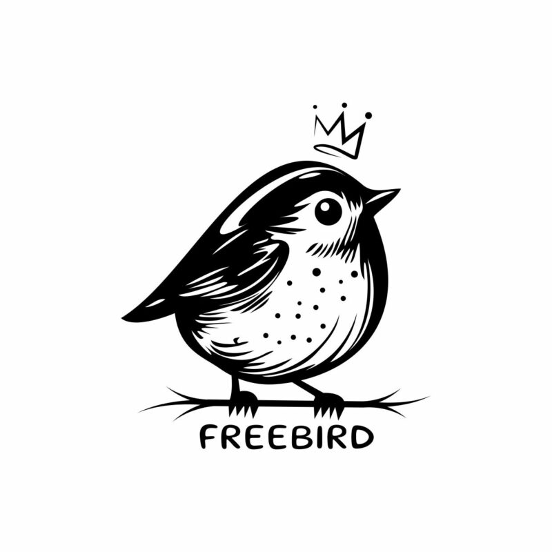 Czyszczenie wysokociśnieniowe kostki oraz elewacji